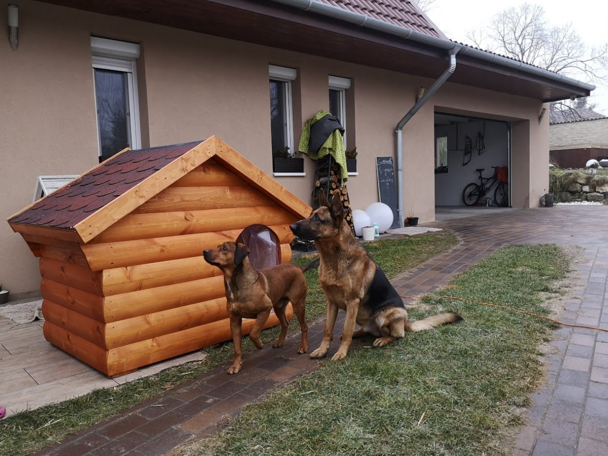 Cezar szigetelt kutyaház